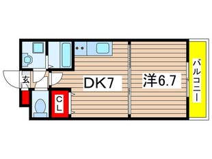 金太郎ヒルズ５４の物件間取画像